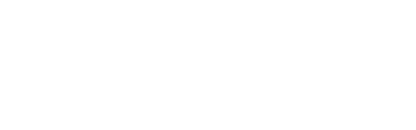 logo_prozis_pro